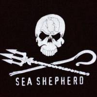 https://sea-shepherd.de/about